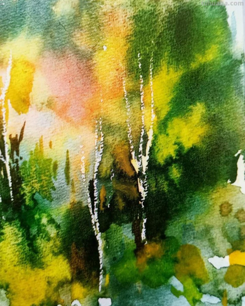 水彩画辅助工具概览，给你比较清晰的经验