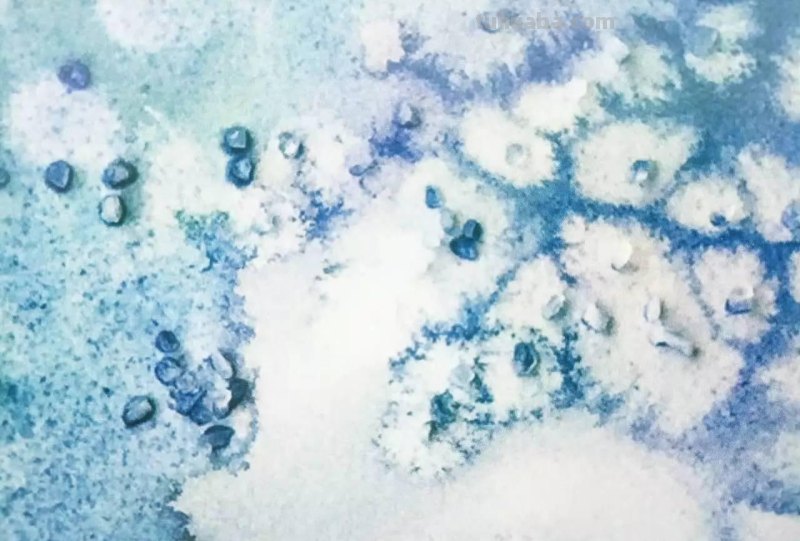 水彩画辅助工具概览，给你比较清晰的经验