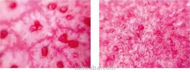 水彩板绘教程，自学水彩需要准备哪些工具？