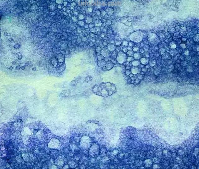 画水彩有哪些不为人知的神器，看看哪一款是你的最爱？