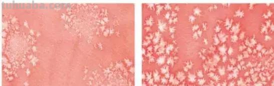 画水彩有哪些不为人知的神器，看看哪一款是你的最爱？