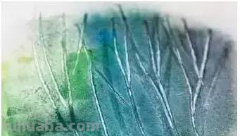 画水彩有哪些不为人知的神器，看看哪一款是你的最爱？