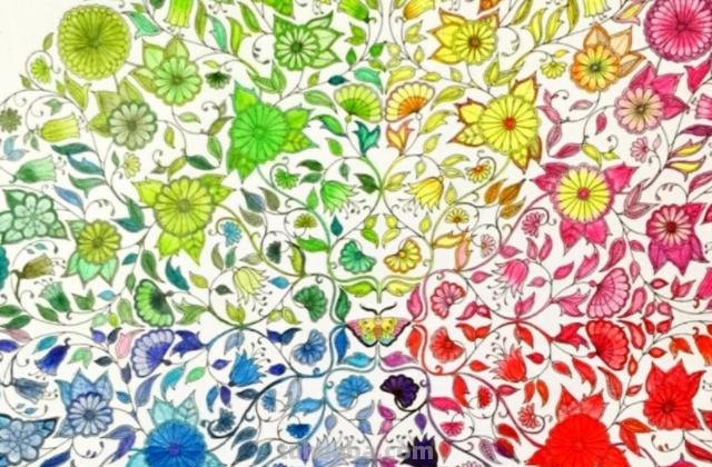 花园怎么画简笔画图片(花园怎么画简笔画图片大全) 花园怎么画简笔画图片(花园怎么画简笔画图片大全)
