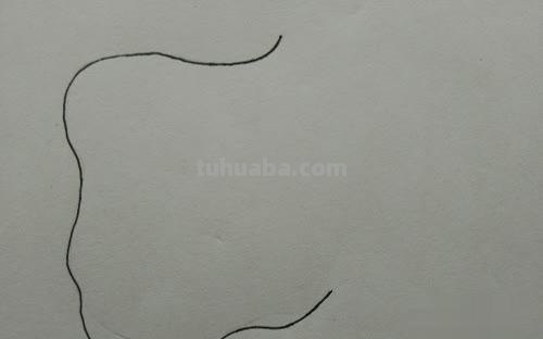树枝怎么画简笔画图片(树枝怎么画简笔画图片大全) 树枝怎么画简笔画图片(树枝怎么画简笔画图片大全)