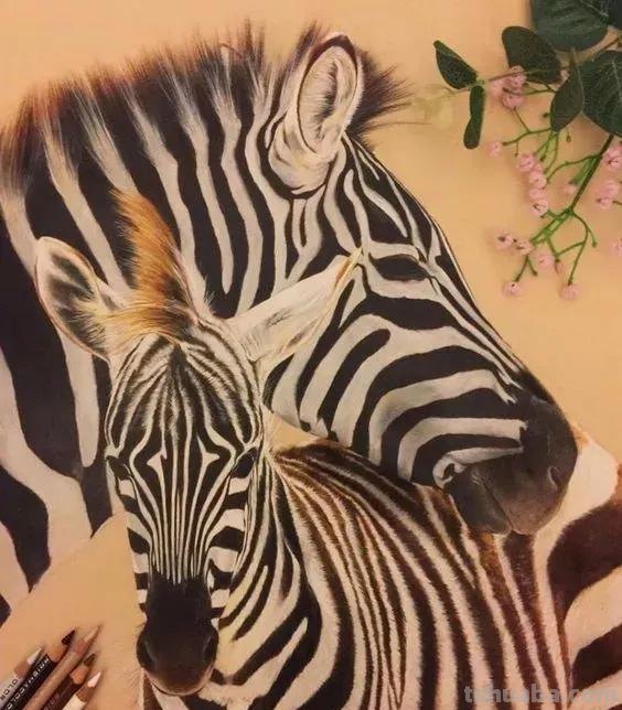 超绝！彩铅竟然能画得这么细腻？快来看这20张彩铅绘画！