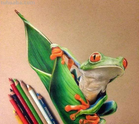 超绝！彩铅竟然能画得这么细腻？快来看这20张彩铅绘画！