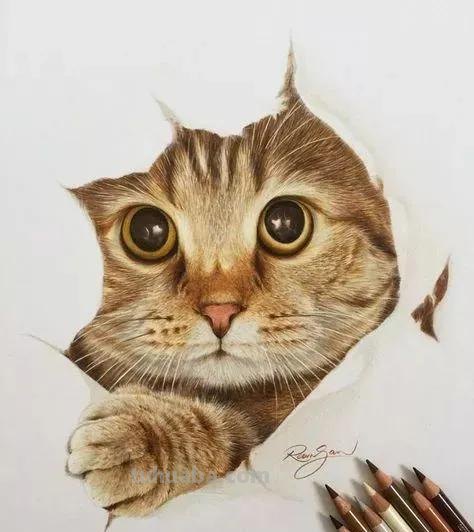 超绝！彩铅竟然能画得这么细腻？快来看这20张彩铅绘画！