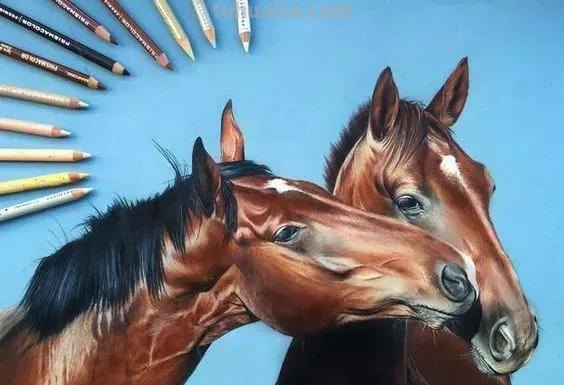 超绝！彩铅竟然能画得这么细腻？快来看这20张彩铅绘画！