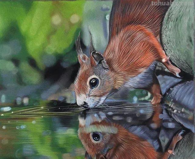 彩铅绘画素材—13幅超写实的彩铅绘画作品，超逼真