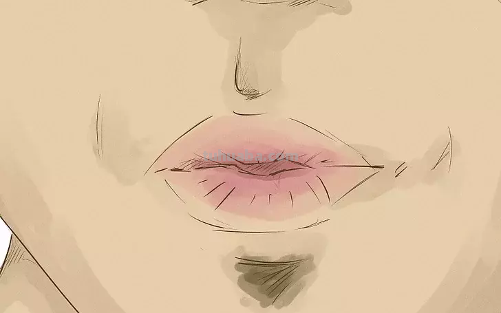 吹口哨速写（速写吹口哨的裁判）