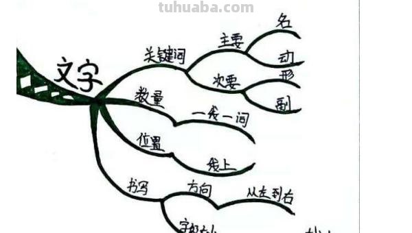思维导图怎么写大学（思维导图怎么写大学生）