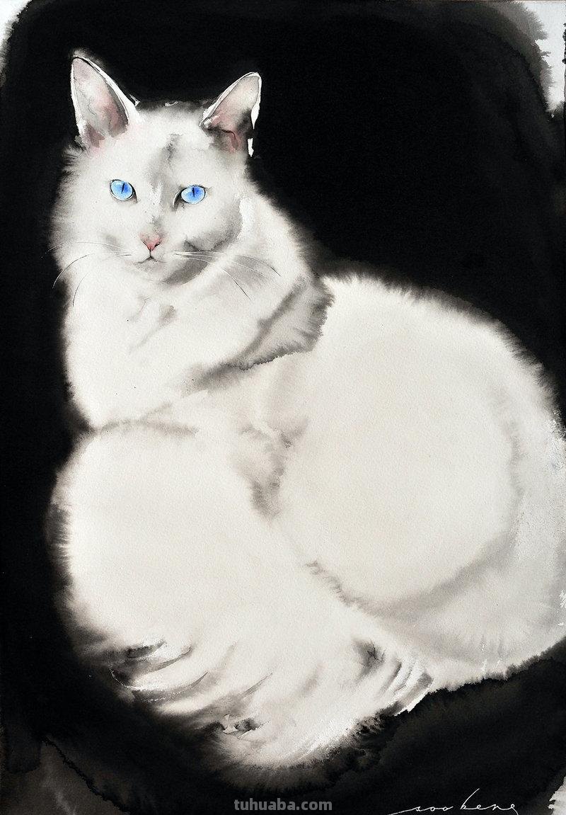 瞧这个外国画家笔下的水彩猫咪，鲜活灵动！
