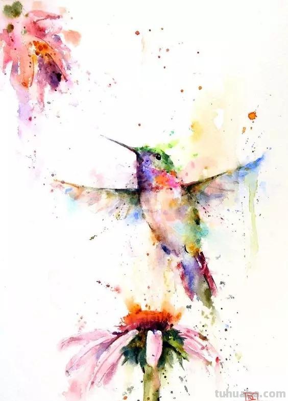 炫美动物水彩画欣赏｜技巧高超过眼难忘