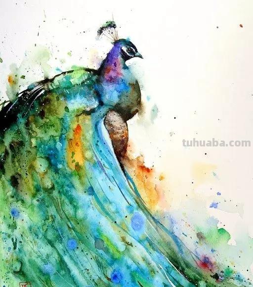 炫美动物水彩画欣赏｜技巧高超过眼难忘