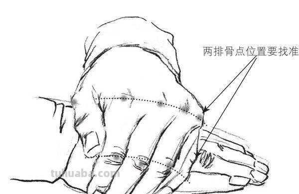双手画技巧速写(双手画技巧速写图片) 双手画技巧速写(双手画技巧速写图片)