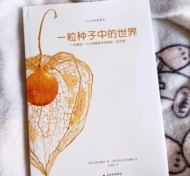 绝美！一粒种子看世界，自然科普类绘本天花板