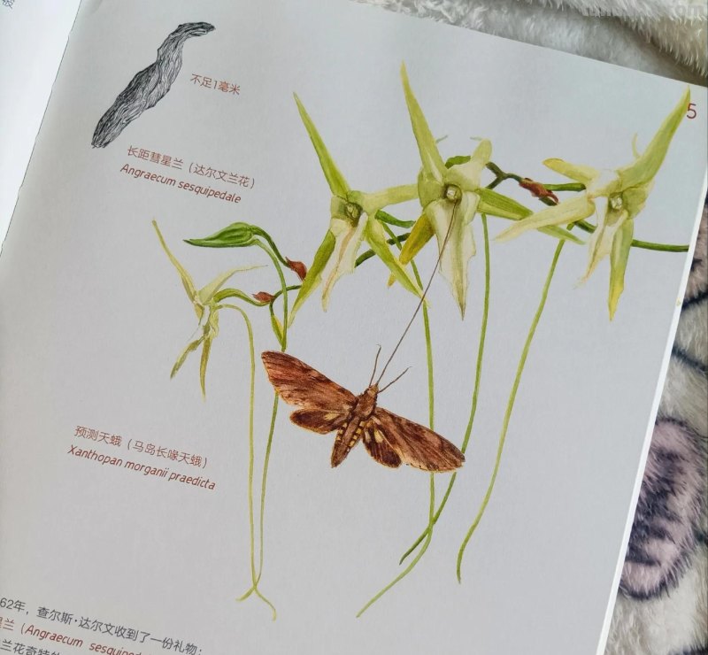 绝美！一粒种子看世界，自然科普类绘本天花板