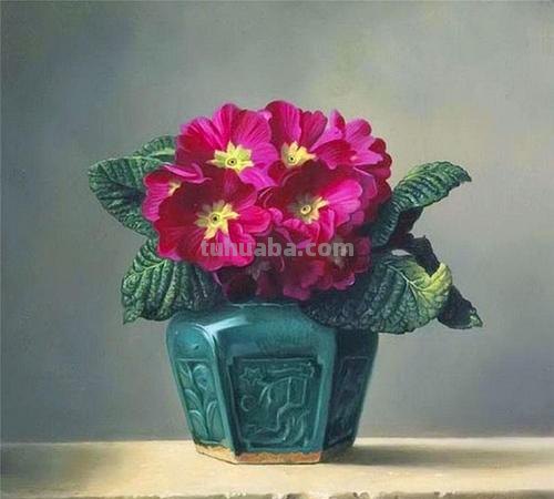 写实静物花卉油画 - 比利时画家彼得·瓦格曼作品专辑