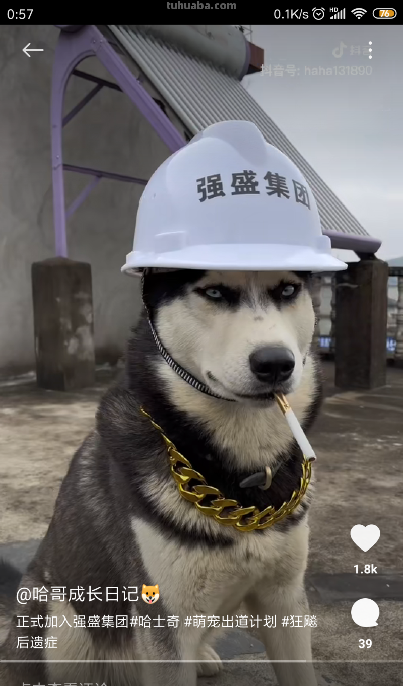 怎样预防孩子近视?