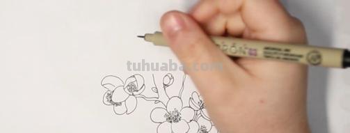 怎么用彩铅画梅花(怎么用彩铅画梅花树) 怎么用彩铅画梅花(怎么用彩铅画梅花树)