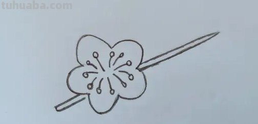 怎么用彩铅画梅花(怎么用彩铅画梅花树) 怎么用彩铅画梅花(怎么用彩铅画梅花树)
