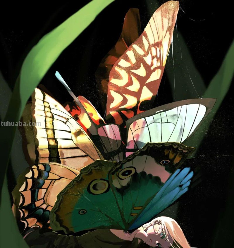 P站周榜│2.1-2.7│此刻你就是我的生命