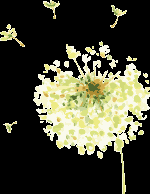 青年之家｜凉山共青团Happy周末青年汇工作坊之&quot;蛋糕烘焙DIY&quot;