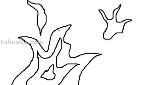 火怎么画简笔画图片（火怎么画简笔画图片 简单）
