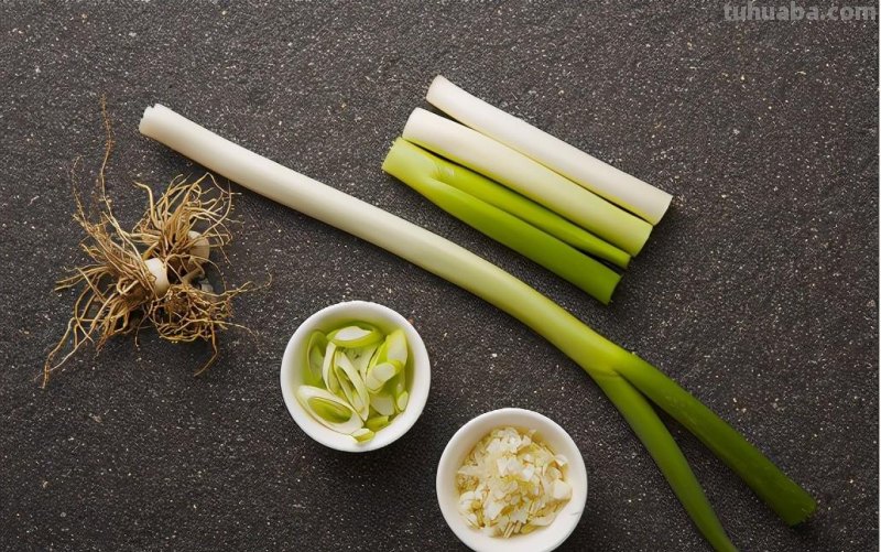 大葱进入“10元+时代”，教你在家简易种大葱，只需三步