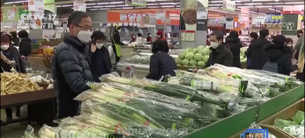 大葱进入“10元+时代”，教你在家简易种大葱，只需三步