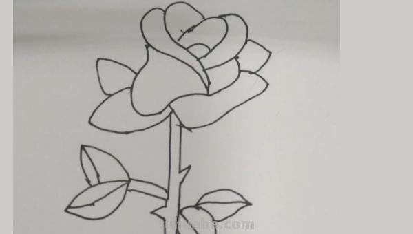 花朵怎么画简笔画图片（花朵怎么画简笔画图片大全）