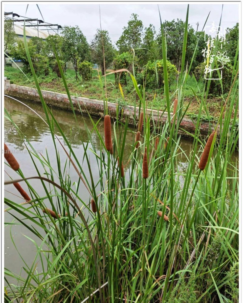 多肉，生活中的小确幸