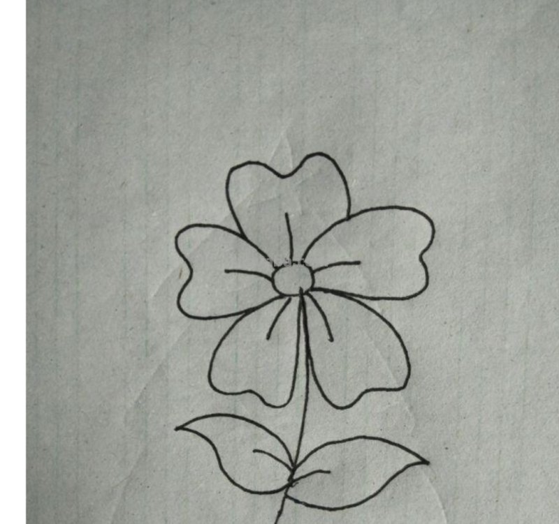 花朵怎么画简笔画图片（花朵怎么画简笔画图片大全）