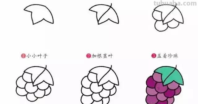 这些水果简笔画简单易学，特别适合幼儿园和小学的孩子，收藏