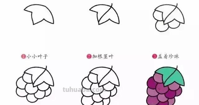 分享8种水果简笔画，收藏吧