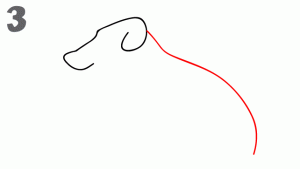 八种常见动物简笔画，亲子绘画必备，简单又好画