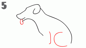 八种常见动物简笔画，亲子绘画必备，简单又好画