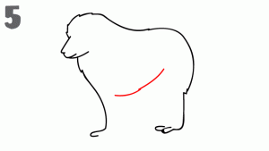 八种常见动物简笔画，亲子绘画必备，简单又好画
