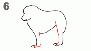 八种常见动物简笔画，亲子绘画必备，简单又好画