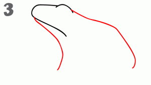 八种常见动物简笔画，亲子绘画必备，简单又好画