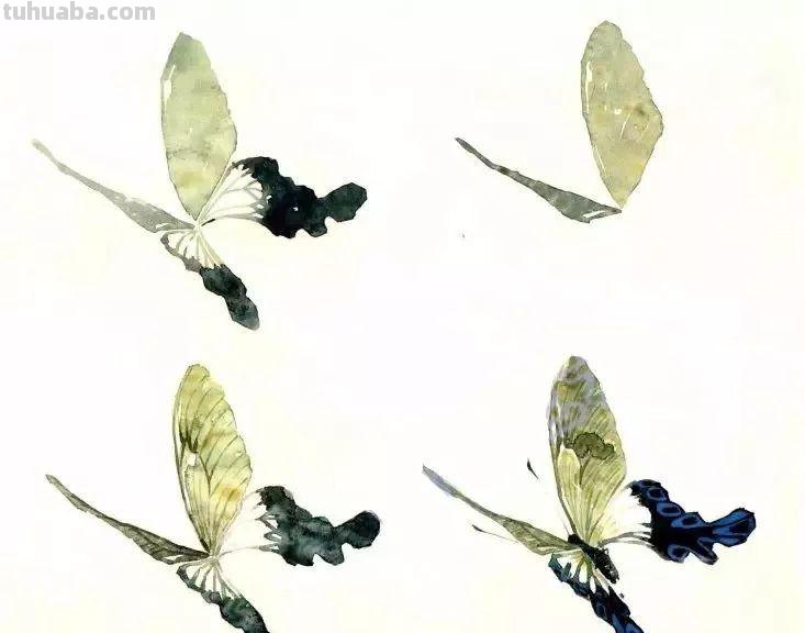 分享几种昆虫的没骨画法