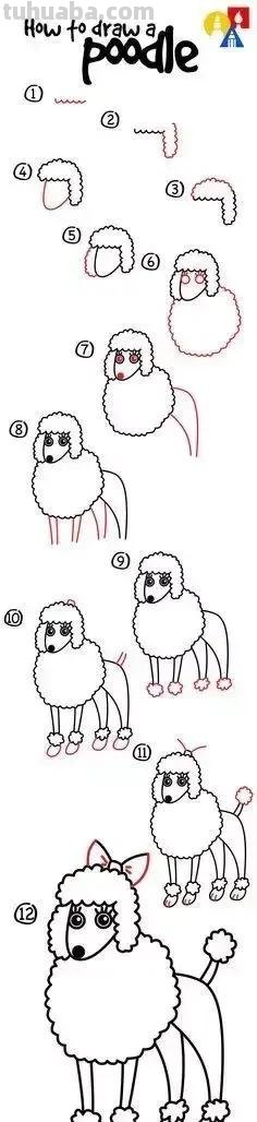 20多种动物与昆虫的简笔画画法，超详细！