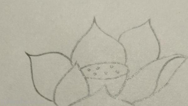 彩铅怎么涂荷叶画（彩铅怎么涂荷叶画好看）
