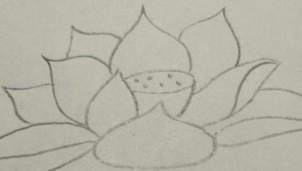 彩铅怎么涂荷叶画（彩铅怎么涂荷叶画好看）
