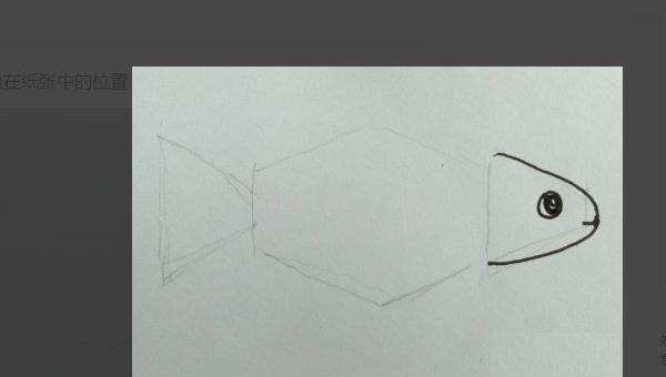 金鱼怎么画简笔画图片（金鱼怎么画简笔画图片大全）