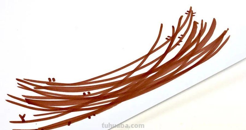 创意儿童画教程｜树枝上的小鸟