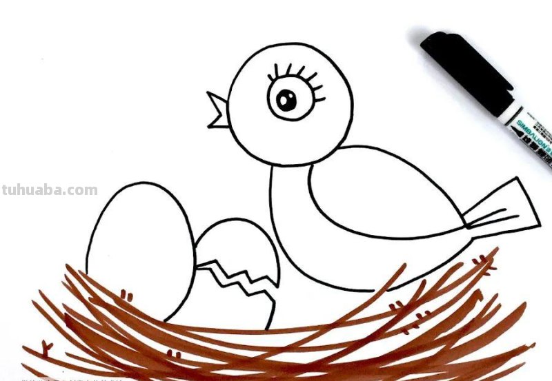 创意儿童画教程｜树枝上的小鸟