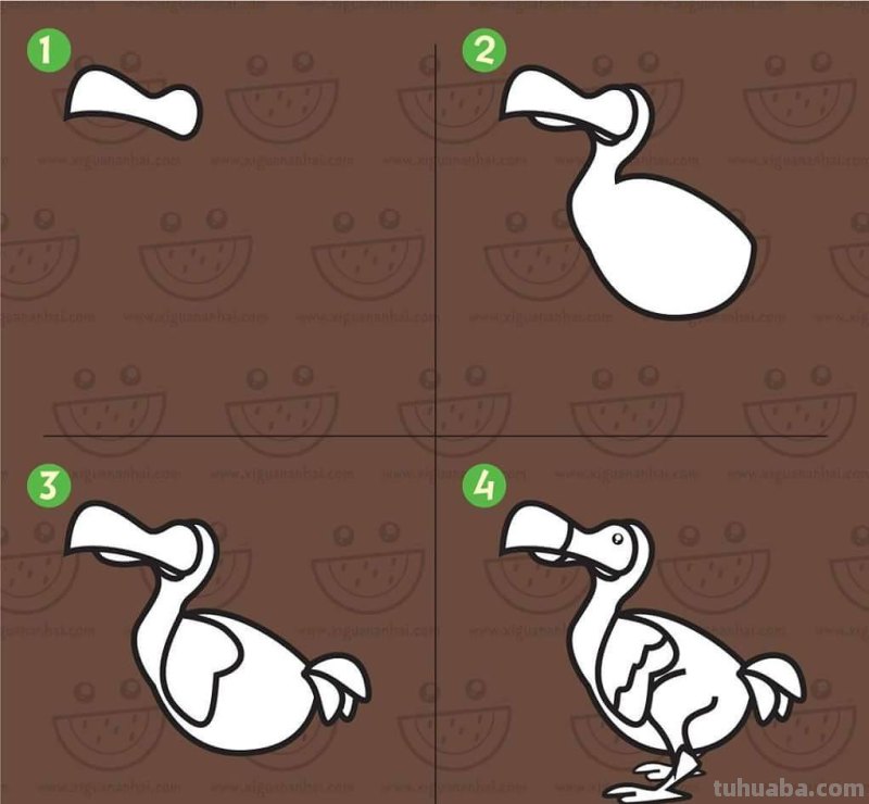 超详细！鸟类简笔画步骤图，你学会了吗？收藏了教孩子！