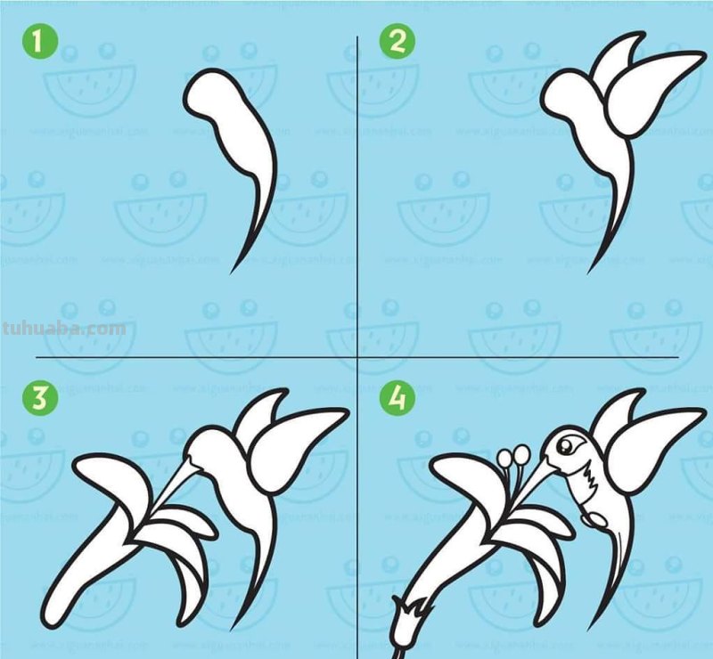 超详细！鸟类简笔画步骤图，你学会了吗？收藏了教孩子！