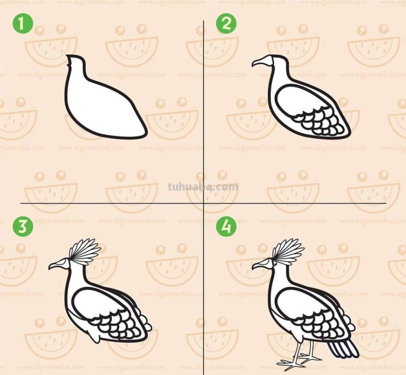 超详细！鸟类简笔画步骤图，你学会了吗？收藏了教孩子！